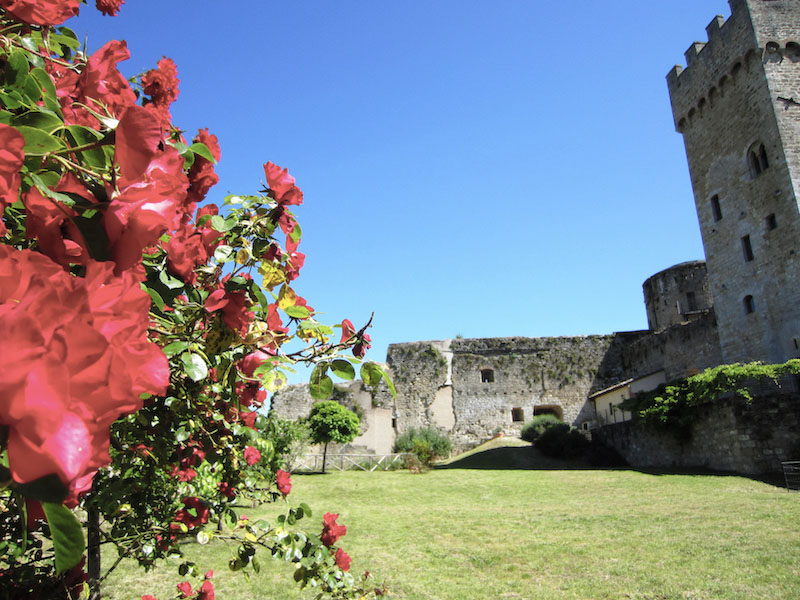 Sfalcio e potatura di terreni incolti in Toscana