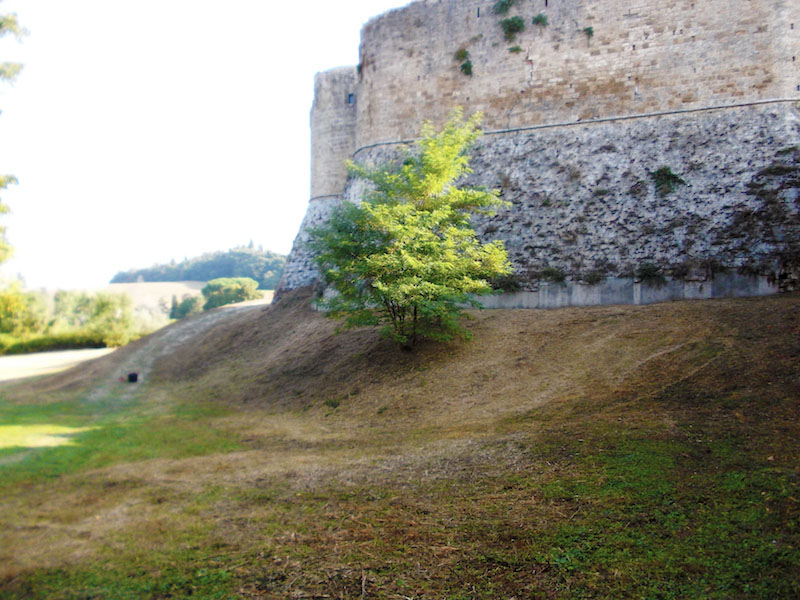 Gestione giardini in Valdelsa