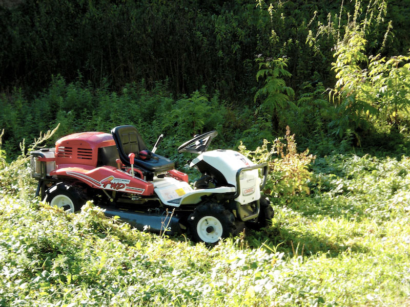 potatura piante in toscana