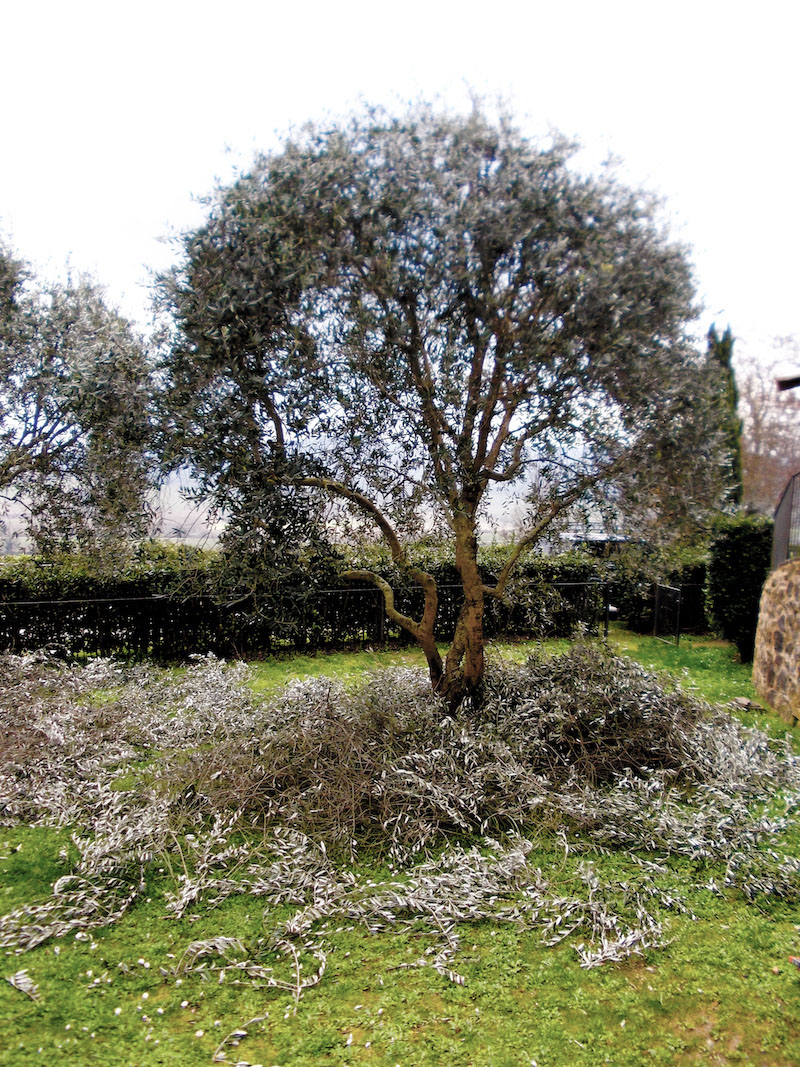 Manutenzione dimore storiche in Valdelsa