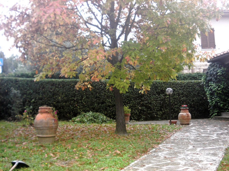 Taglio erba anche per giardini di grande dimensioni in Toscana