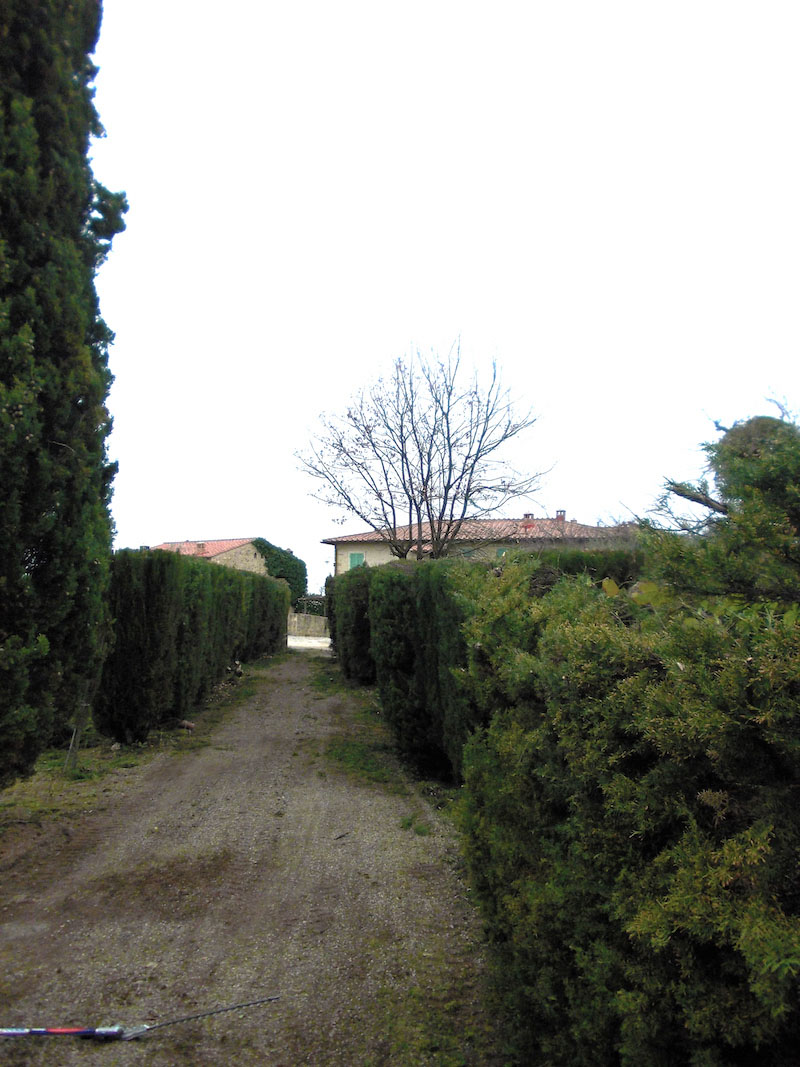 Taglio erba anche per giardini di grandi dimensioni in Valdelsa