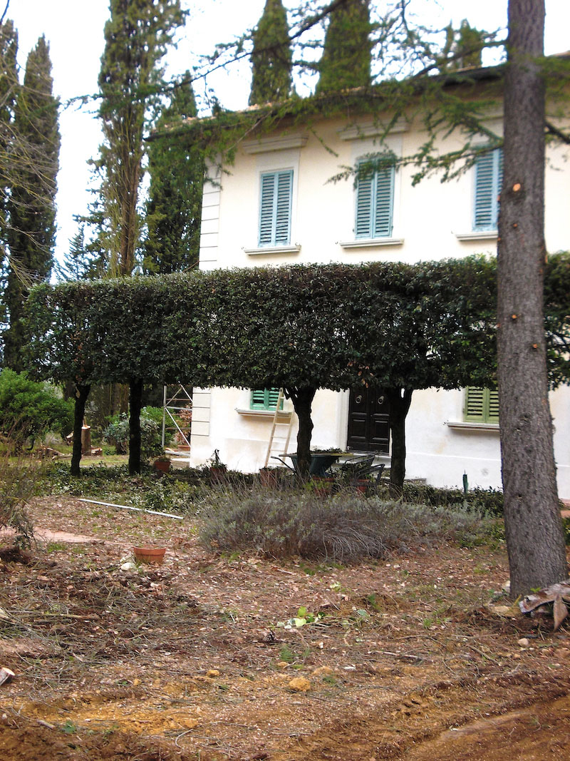 Potatura e concimazione in Valdelsa