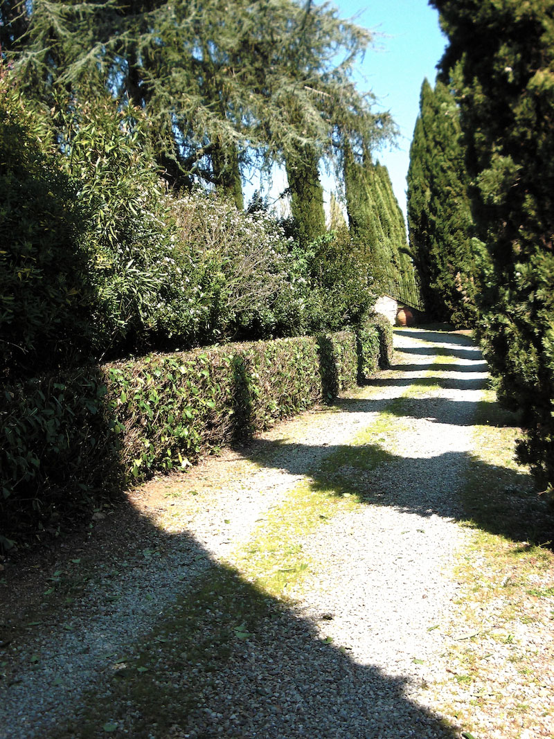 Potatura e concimazione in Toscana