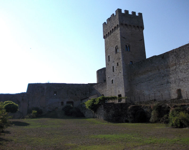 Tree climbing con brevetto in Toscana